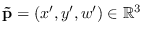 $\mathbf{\tilde{p}} =(x', y', w') \in \mathbb{R}^{3}$