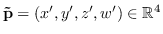 $\mathbf{\tilde{p}} =(x', y', z', w') \in \mathbb{R}^{4}$