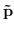 $\mathbf{\tilde{p}}$