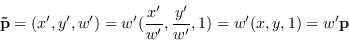 \begin{displaymath}
\mathbf{\tilde{p}} = ( x',y',w' ) = w' (\frac{x'}{w'},\frac{y'}{w'},1) = w' (x,y,1) = w' \mathbf{p}
\end{displaymath}