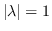 $\vert \lambda \vert=1$